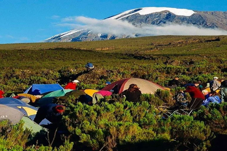 7-Day Kilimanjaro Trekking Via Machame Route + 2 Nights Hotel Stay