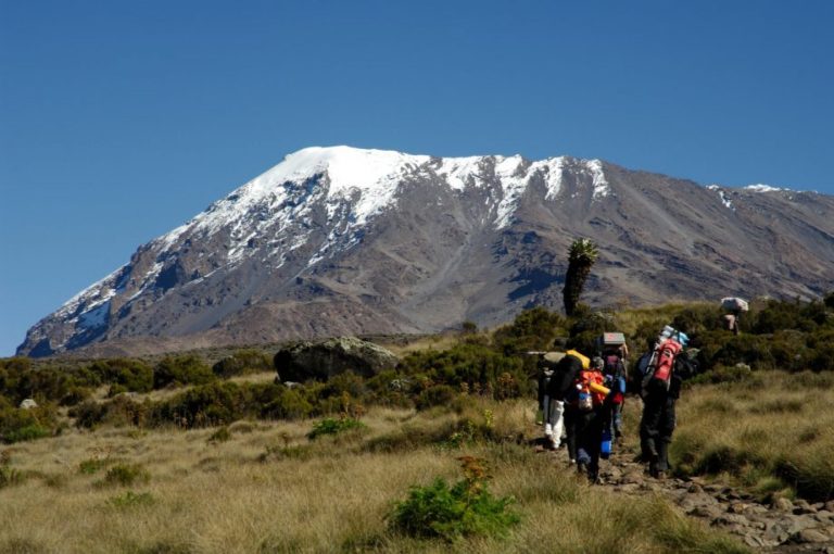 5 Day Kilimanjaro Trekking Marangu Route + 2 Nights Hotel Stay